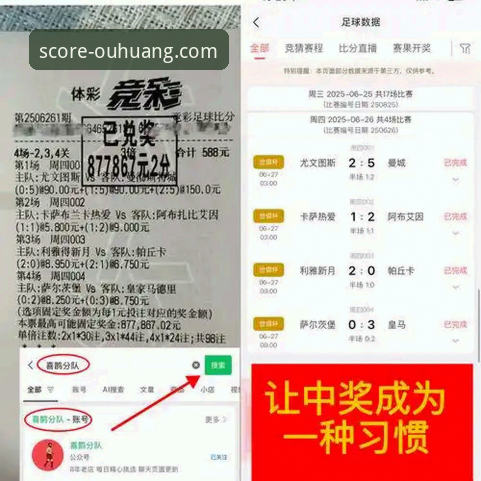 资深技术评测员分享：2026欧皇体育比分分析实战经验与平台使用心得
